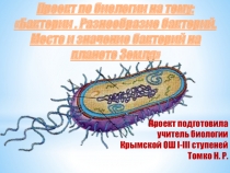 Проект по биологии на тему: Бактерии . Разнообразие бактерий. Место и значение бактерий на планете Земля