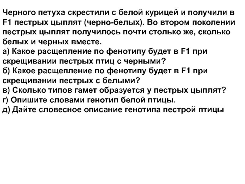 Скрестили черного и белого. Скрестили пестрых петуха и курицу. Скрещивали черную курицу с белым петухом. Скрестили пестрых петуха и курицу получили 26 пестрых 12. Скрестили пестрых петуха.