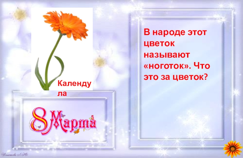 Имя девушки в честь глаз назван цветок. В народе эти цветы называют доброе утро. Привет Google как зовут цветочках имя.