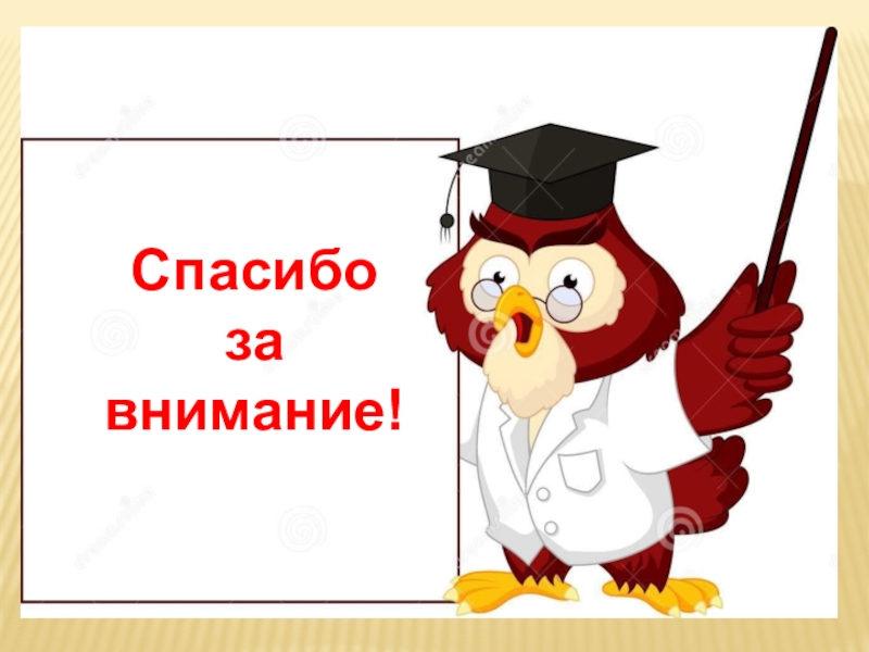 Спасибо за внимание сова для презентации