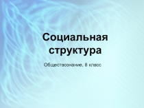 Социальная структура (8 класс)