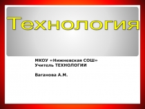 Презентация по технологии на тему: Влажно-тепловая обработка 5 класс