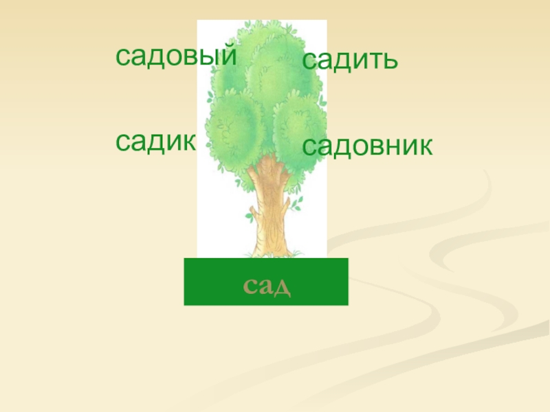 Однокоренные к слову сад. Родственные слова сад. Дерево слов сад. Дерево с однокоренными словами сад. Родственные слова к слову сад.