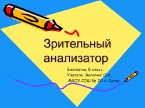 Презентация по биологии на тему Зрительный анализатор (8 класс)