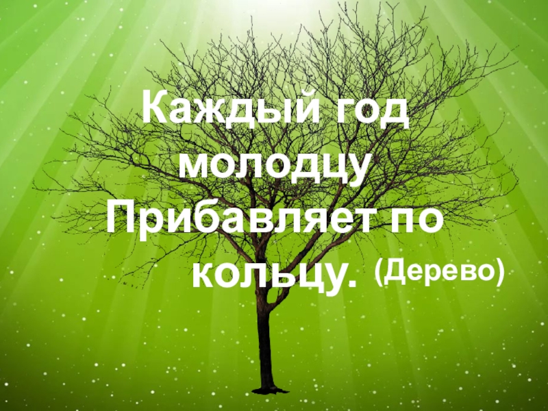 осень цитаты красивые. у каждого дерева свой. дерево в виде женщины. у каждого дерева свой. корень дерева информатика.