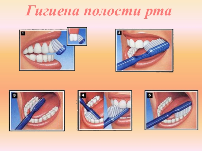 Профилактика гигиены. Гигиена полости рта что нельзя делать.