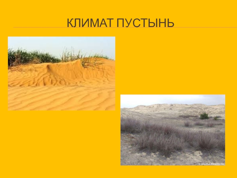 Какие климатические условия в пустыне. Пустыни и полупустыни климат. Пустыни и полупустыни России климат. Пустыня и полупустыня климат. Климатические зоны пустынь России.