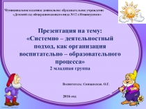 Системно – деятельностный подход, как организация воспитательно – образовательного процесса 2 младшая группа