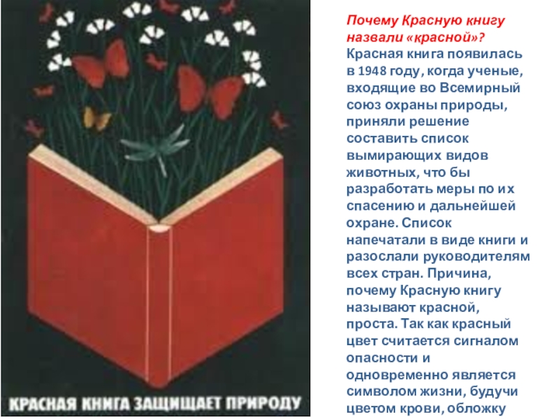 Презентация о черной книге