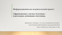 Презентация Информационно-исследовательский проект Улитки Ахатины