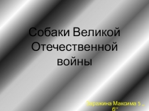 Собаки в Великой Отечественной войне