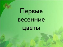Презентация  Первые весенние цветы