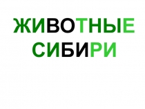 Презентация по окружающему миру по теме: Животные Сибири