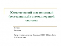 Презентация по биологии 8 класс на тему соматический и автономный (вегетативный) отделы нервной системы