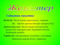 Слайд Жемістер (6 сынып)