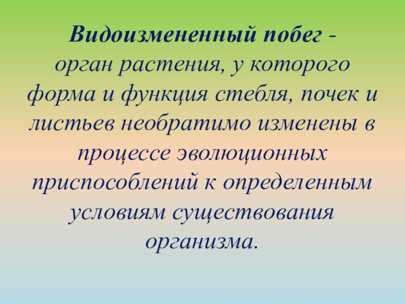 Видоизмененные побеги презентация биология 6 класс