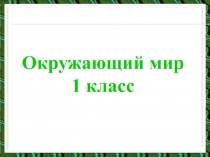 Презентация к уроку окружающего мира Почему мы не будем рвать цветы и ловить бабочек?