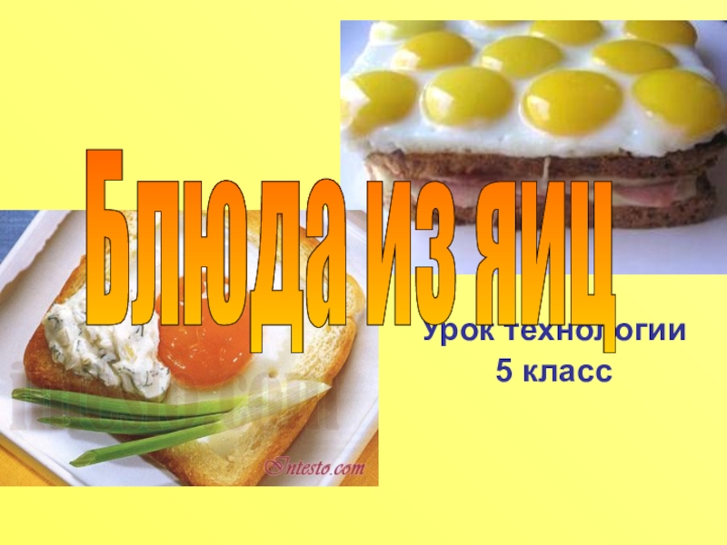 Презентация Блюда из яиц