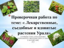 Презентация Проверочная работа Лекарственные, съедобные и ядовитые растения Урала ( 5 - 11 класс)
