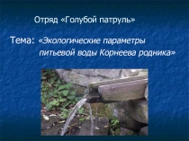 Презентация Экологические параметры воды Корнеева родника
