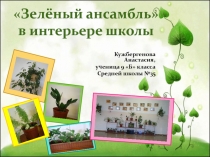 Презентация проекта Зелёный ансамбль в интерьере школы