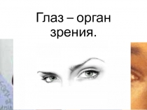 Презентация по окружающему миру Глаз - орган зрения