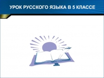 Урок русского языка в 5 классе по теме  Имя существительное