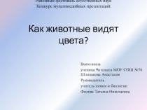 Как животные видят цвета.