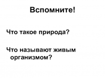 Презентация по биологииВводный урок
