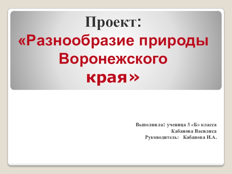 Проект окружающий мир разнообразие природы воронежского края