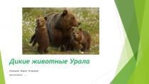 Презентация по краеведению Дикие животные Южного Урала