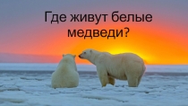 Презентация по окружающему миру на тему Где живут белые медведи? (1 класс)