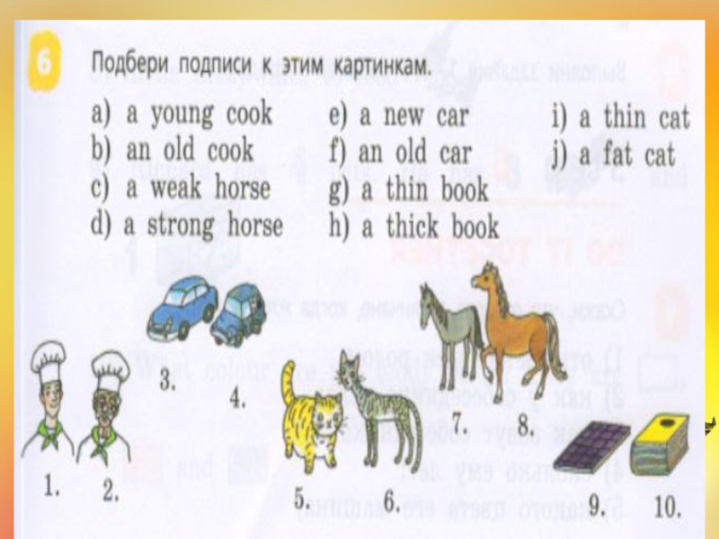 Подбери подписи к этим картинкам английский язык 2 класс