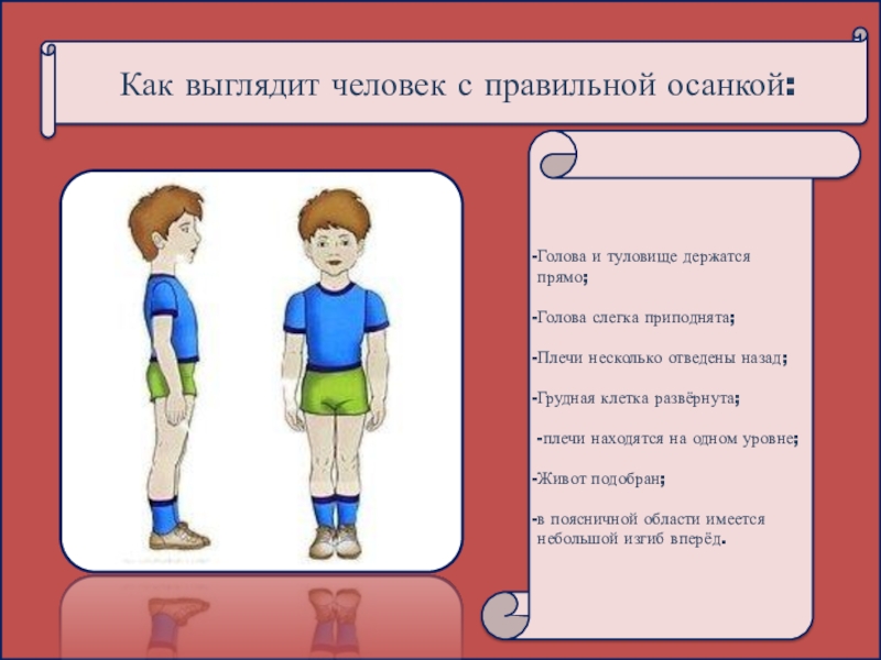 Положение стоящего тела человека. Правильная осанка у человека. Как выглядит человек с правильной осанкой. Тема правильная осанка. Рисунок правильной осанки человека.