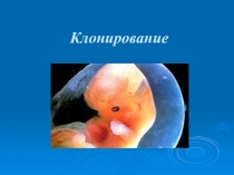 Презентация урока по теме: Клонирование