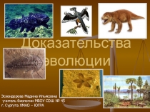 Презентация доказательство эволюции(10 класс)