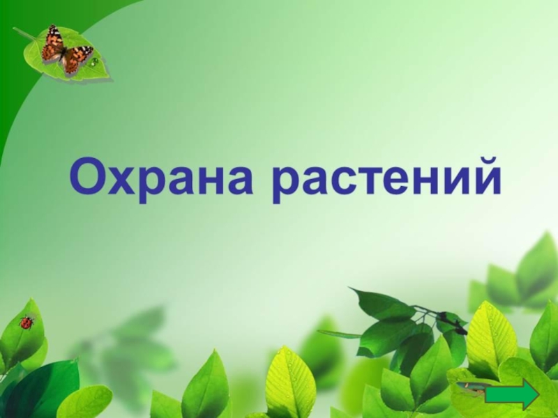 Окружающий мир 4 класс проект охрана природы в нашем крае 4 класс