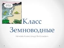 Класс Земноводные