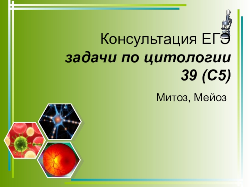 Презентация Презентация по биологии Консультация ЕГЭ задачи по цитологии