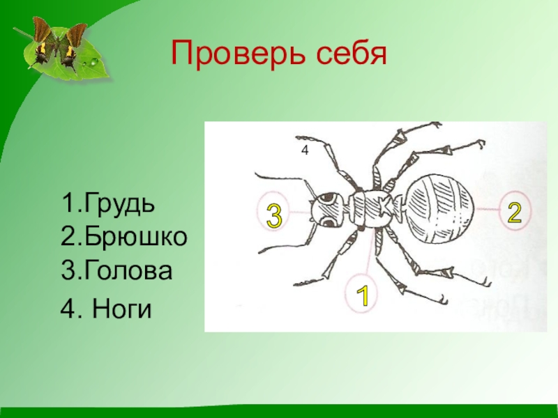 Презентация про 1 класс окружающий мир