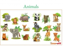 Презентация по английскому языку At the Zoo (4 класс)