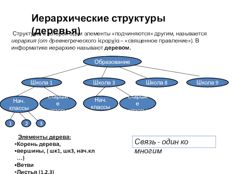 Элемент системы дерево. Структура иерархии. Иерархическая структура дерево. Иерархическая структура данных. Иерархическая структура Информатика.