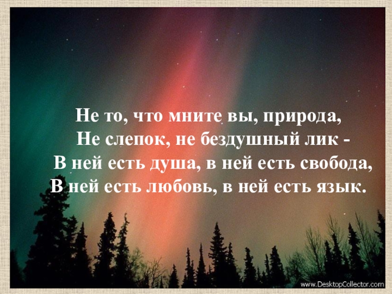 Не то что мнит вы природа. Природа произведения поэтов романтиков. Природа в произведениях русских поэтов-романтиков.