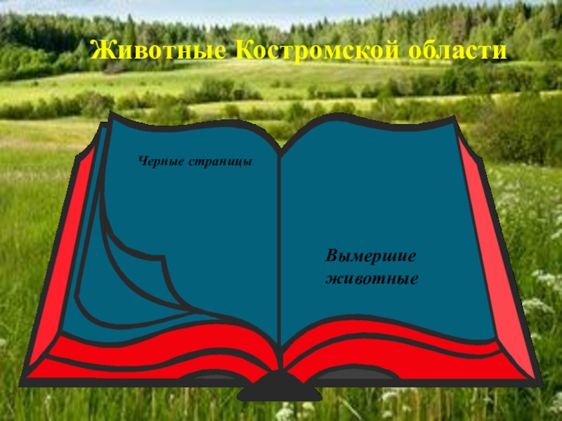 Животное из красной книги костромской области фото и описание