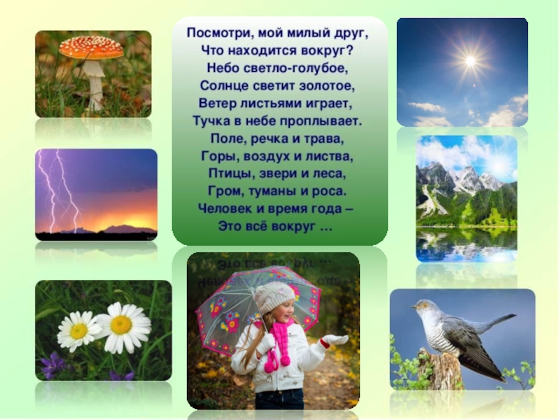 Живая природа и неживая природа презентация