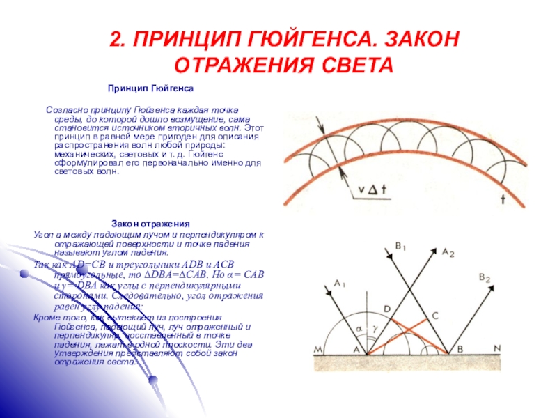 Закон отражения света 11 класс физика. Принцип Гюйгенса каждая точка среды. Принцип Гюйгенса для световых волн. Принцип Гюйгенса-Френеля закон отражения света. Принцип Гюйгенса закон отражения света.