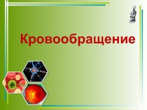 Презентация по биологии на тему Кровообращение (8 класс)