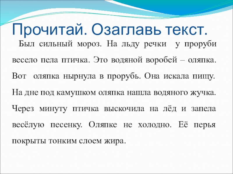 Был сильный мороз. На льду речки у проруби весело пела птичка. Это водяной воробей – оляпка. Вот