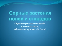 Презентация  Сорные растения нашего огорода по биологии 6 класс