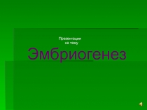 Презентация по биологии на тему Эмбриогенез